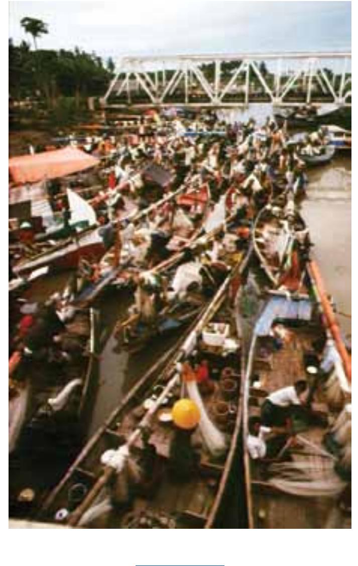 Philippine-Coast-Guard-Halts-Small-Vessel-Operations-in-Northern-Quezon-Amid-Tsunami-Threat